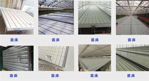 苗床吸塑機(jī)樣品